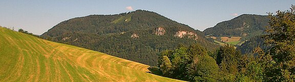 Headerbild
